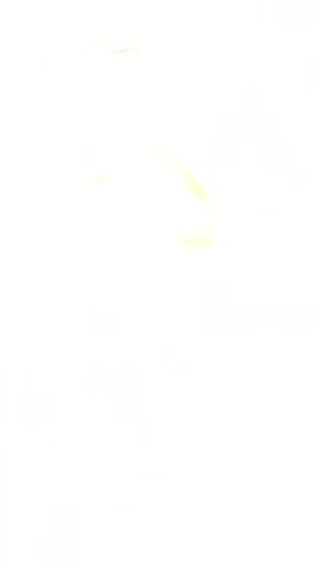 I doubt you not cum in one minute - Lena Dias