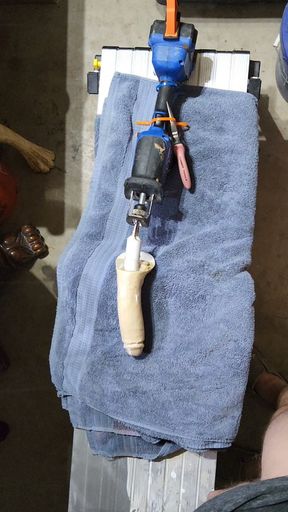 First time on the bench