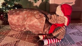 Hairy Santa dumps Christmas dildo in greedy ass and pussy