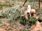 VOST engl - Training 1 pour la balade dans le jardin avec cet inférieur nu et chaste.