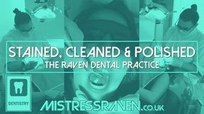 [939] Stained Cleaned and Polished The Raven Dental Practice