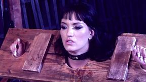 Salve Factory: Babe's dripping pussy gags on huge cock