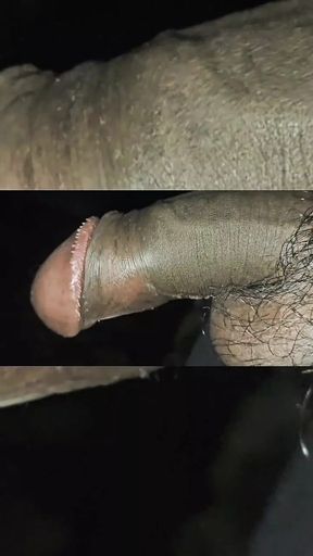 Jaipur 5 Star hotel viral mms holiday in sex caught blowjob