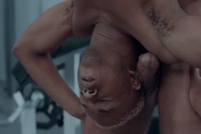 penises Rub Large Penises Jointly