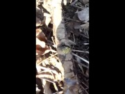 Touching and tasting own cum from the ground public