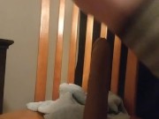A normal sissy night