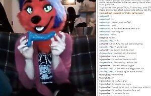 Furry CamShow Highlights