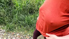 Tits training on pasture and meadow