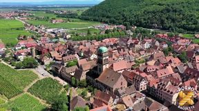 Stella, Gorgeous MILF, Wants Two Dicks for Herself