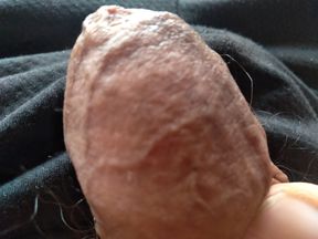 large penis at its erect point