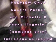 PREVIEW ONLY SandraParker & Michelle B
