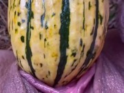 GOURD just too HUGE to fit in my pussy . (HD 11pro)