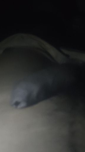 There's a big dick right now