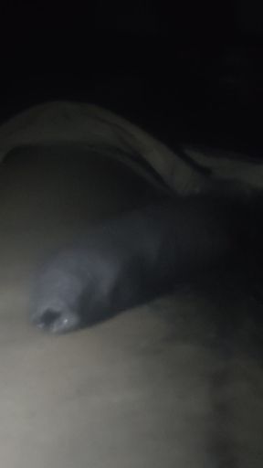 There's a big dick right now