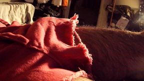 Intrusive Close up Pink Cock