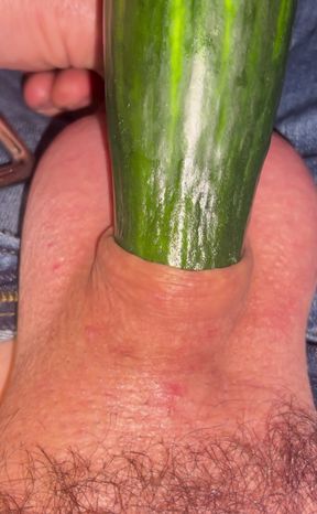 Stick that cucumber in my cock