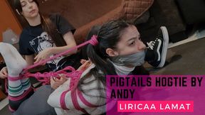 Pigtails hogtie by Andy