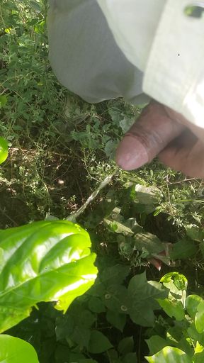 I had sex among the leaves, even the leaves felt shy thinking about it.