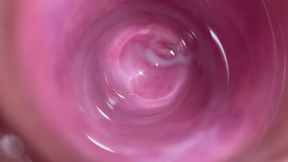 Camera Deep Inside Mia's Teen Tight Pussy