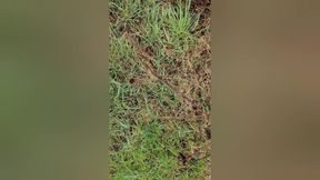 Just a Litte Bit Piss Cum Mix Enjoy