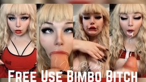 Free Use Bimbo Bitch