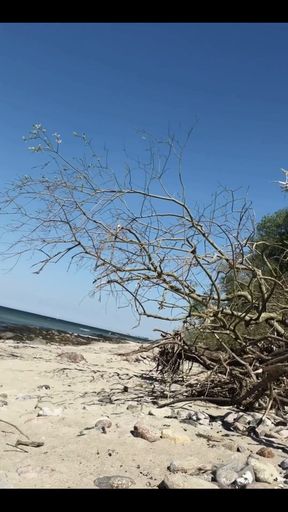 My New One