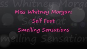 Whitney Morgan: Gagged Self Foot Smelling Sensations - FULL - wmv