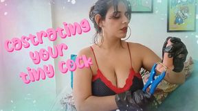 The Gift of Castration - Elastrator POV Roleplay