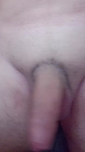 My polla