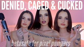 locked leaky fincuck for toxic wife