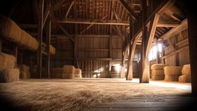 Gelded in the Barn - Asmr, Gelding