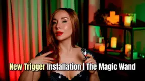 New Trigger Installation | The Magic Wand