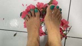 stepping on the flowers that the slave gave me
