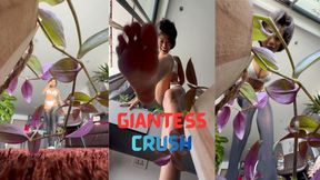 Tiny Man couldn't Escape from a Giantess Asian Goddess