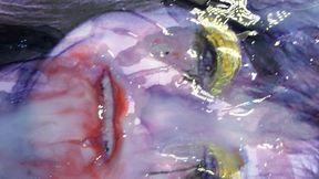 Facialgirl my sophisticated cumslut