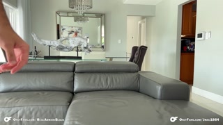 Busty MILF Armani Black Fucked By Big Cock Jmac