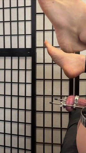 Pigbugs Femdom Sex 2: Humbler Fucking