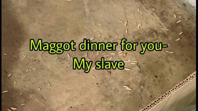Your Maggot Dinner on the Floor + Your New Basement Slave Bed.