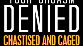 Orgasm Denial Part 1 Chastised and Caged
