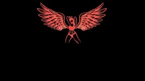 THE POOL BOY CHRONICLES