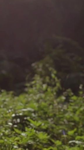 Outside with Me