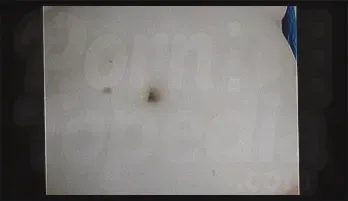 Busty Wife and Husband's Erotic Fun