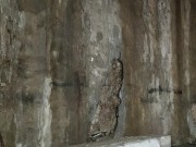 pissing in public garage