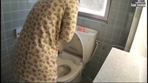Stuck up Older Women - Toilet Masturbation Collection of 25 - Ep11