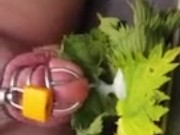 Nettle Torture Orgasm