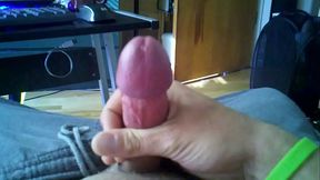 2011-08-07 16-39-02 338-1
