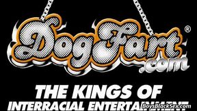 Interracial Bareback Gay Hardcore Porn 21