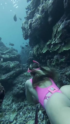 Scuba Diving Adventure
