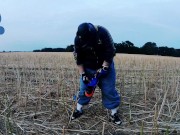 Baggy-Skater-Pup pawing off out on field sniffing Airmax 270