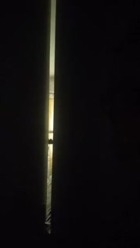 J sucked off my stepson while my husband was at work